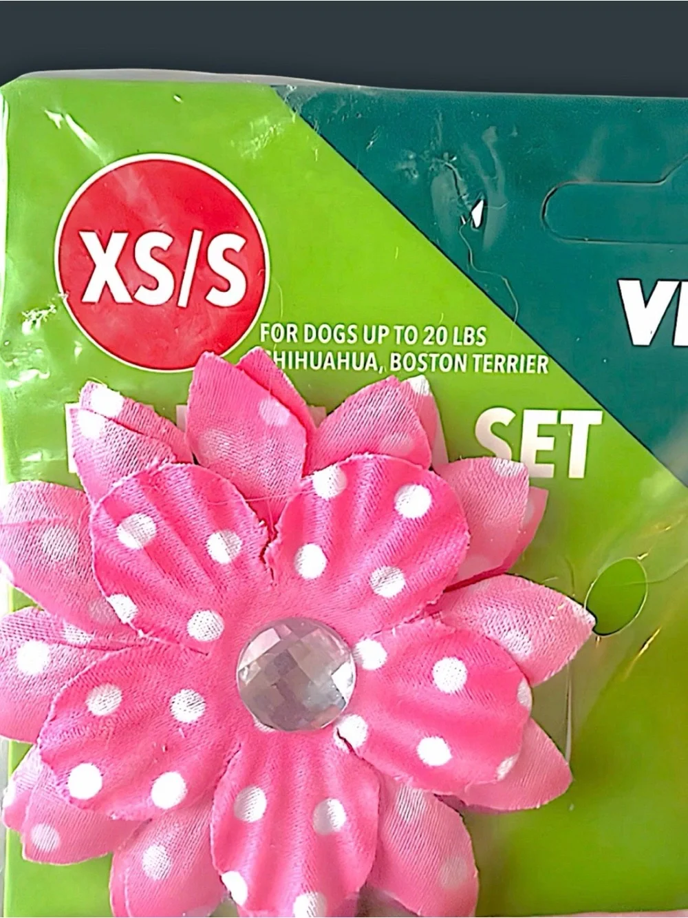 Vibrant Life Dog Girls Just Wanna Have Sun Bandana Set